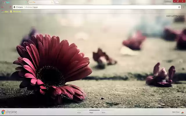 Goodly Flower from Chrome web store to be run with OffiDocs Chromium online Goodly Flower from Chrome web store to be run with OffiDocs Chromium online