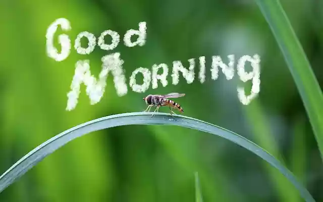 Good Morning from Chrome web store to be run with OffiDocs Chromium online Good Morning from Chrome web store to be run with OffiDocs Chromium online
