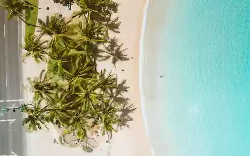 Green Leaves on Blue Round Plate from Chrome web store to be run with OffiDocs Chromium online Green Leaves on Blue Round Plate from Chrome web store to be run with OffiDocs Chromium online