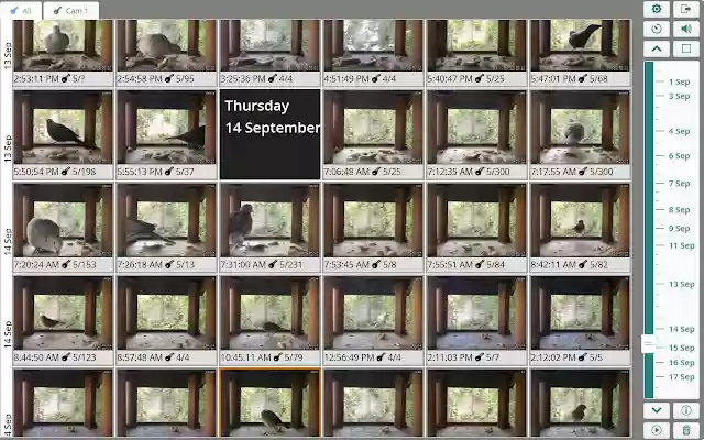 IP Camera Picture Browser from Chrome web store to be run with OffiDocs Chromium online IP Camera Picture Browser from Chrome web store to be run with OffiDocs Chromium online