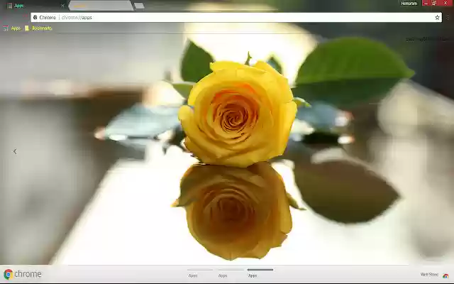 Leaf Reflection Rose Yellow Flower from Chrome web store to be run with OffiDocs Chromium online Leaf Reflection Rose Yellow Flower from Chrome web store to be run with OffiDocs Chromium online