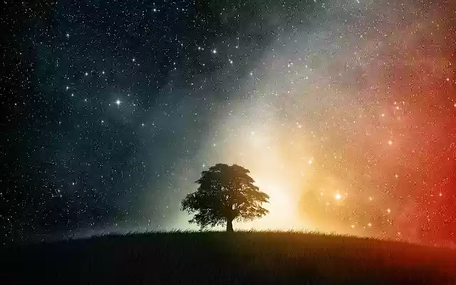 Lone Tree from Chrome web store to be run with OffiDocs Chromium online Lone Tree from Chrome web store to be run with OffiDocs Chromium online