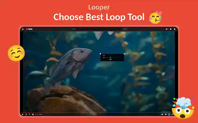 Looper from Chrome web store to be run with OffiDocs Chromium online Looper from Chrome web store to be run with OffiDocs Chromium online