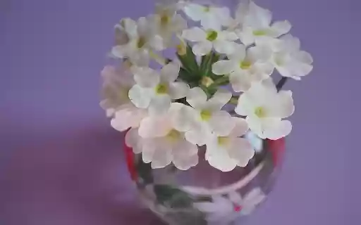 Lovely flower vase from Chrome web store to be run with OffiDocs Chromium online Lovely flower vase from Chrome web store to be run with OffiDocs Chromium online