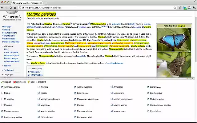 NameSpotter from Chrome web store to be run with OffiDocs Chromium online NameSpotter from Chrome web store to be run with OffiDocs Chromium online