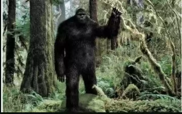 New project from Chrome web store to be run with OffiDocs Chromium online New project from Chrome web store to be run with OffiDocs Chromium online