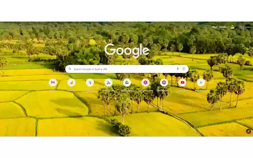 Đồng lúa from Chrome web store to be run with OffiDocs Chromium online Đồng lúa from Chrome web store to be run with OffiDocs Chromium online