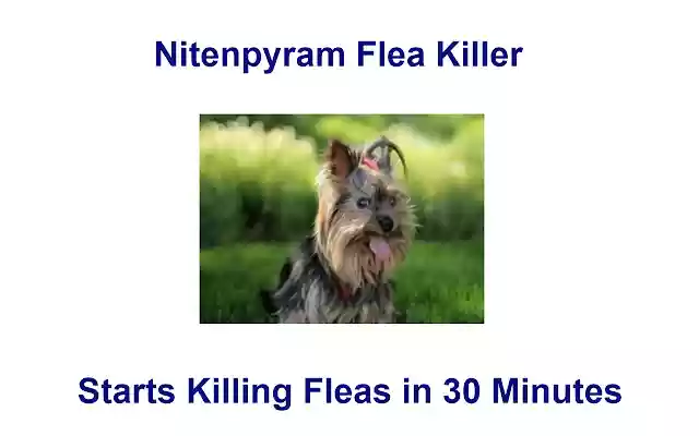 Nitenpyram Flea Killer from Chrome web store to be run with OffiDocs Chromium online Nitenpyram Flea Killer from Chrome web store to be run with OffiDocs Chromium online