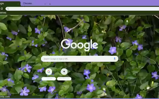 Periwinkle from Chrome web store to be run with OffiDocs Chromium online Periwinkle from Chrome web store to be run with OffiDocs Chromium online