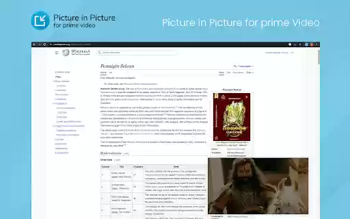 Picture In Picture for Prime Video from Chrome web store to be run with OffiDocs Chromium online Picture In Picture for Prime Video from Chrome web store to be run with OffiDocs Chromium online