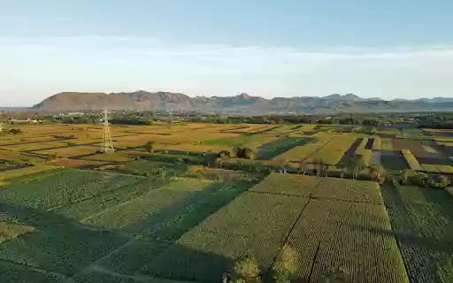 Rectangular fields from Chrome web store to be run with OffiDocs Chromium online Rectangular fields from Chrome web store to be run with OffiDocs Chromium online