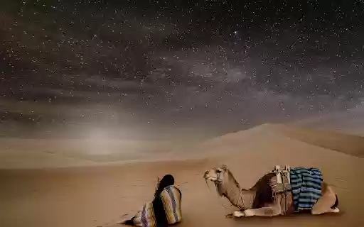 Rest in the desert from Chrome web store to be run with OffiDocs Chromium online Rest in the desert from Chrome web store to be run with OffiDocs Chromium online