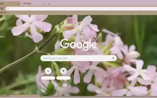 Saponaria from Chrome web store to be run with OffiDocs Chromium online Saponaria from Chrome web store to be run with OffiDocs Chromium online