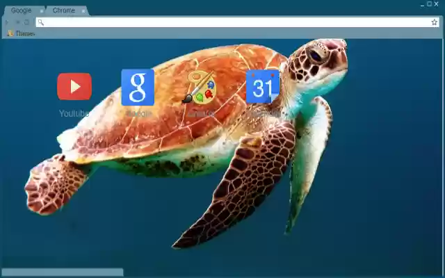 Sea Turtle from Chrome web store to be run with OffiDocs Chromium online Sea Turtle from Chrome web store to be run with OffiDocs Chromium online