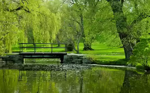 Serene Park Bridge from Chrome web store to be run with OffiDocs Chromium online Serene Park Bridge from Chrome web store to be run with OffiDocs Chromium online