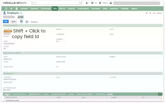 Show Netsuite Field IDs from Chrome web store to be run with OffiDocs Chromium online Show Netsuite Field IDs from Chrome web store to be run with OffiDocs Chromium online