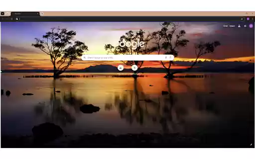 Silhouette of Trees Near Body of Water from Chrome web store to be run with OffiDocs Chromium online Silhouette of Trees Near Body of Water from Chrome web store to be run with OffiDocs Chromium online