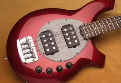 Slappyto Basse from Chrome web store to be run with OffiDocs Chromium online Slappyto Basse from Chrome web store to be run with OffiDocs Chromium online