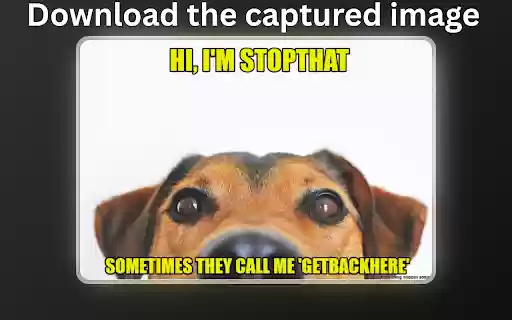 SnipBox — Lets make this Meme worthy! from Chrome web store to be run with OffiDocs Chromium online SnipBox — Lets make this Meme worthy! from Chrome web store to be run with OffiDocs Chromium online