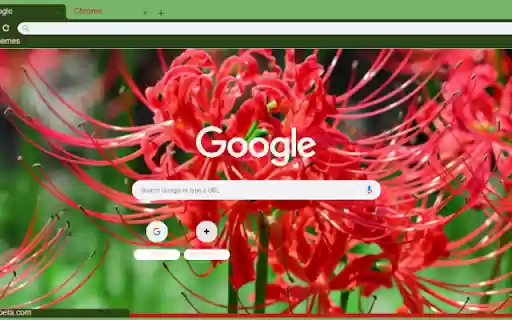 Spider Lily from Chrome web store to be run with OffiDocs Chromium online Spider Lily from Chrome web store to be run with OffiDocs Chromium online