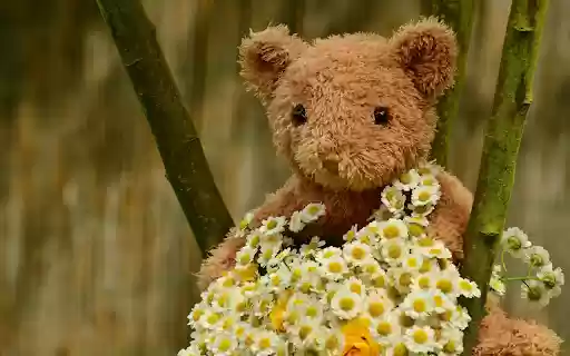 Teddy bears and flowers from Chrome web store to be run with OffiDocs Chromium online Teddy bears and flowers from Chrome web store to be run with OffiDocs Chromium online