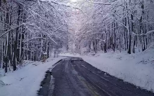 The road is cold from Chrome web store to be run with OffiDocs Chromium online The road is cold from Chrome web store to be run with OffiDocs Chromium online