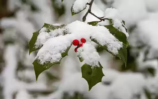 The space is filled with snow from Chrome web store to be run with OffiDocs Chromium online The space is filled with snow from Chrome web store to be run with OffiDocs Chromium online