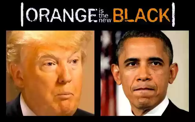 TrumpBlock from Chrome web store to be run with OffiDocs Chromium online TrumpBlock from Chrome web store to be run with OffiDocs Chromium online