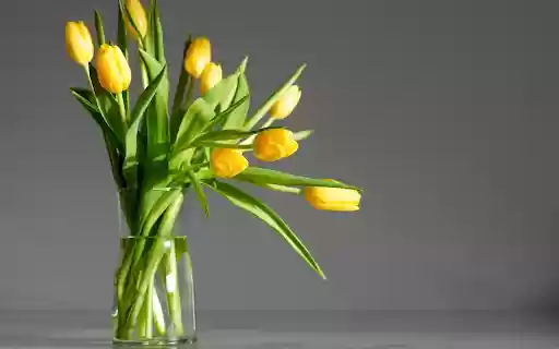 Vase of tulips from Chrome web store to be run with OffiDocs Chromium online Vase of tulips from Chrome web store to be run with OffiDocs Chromium online