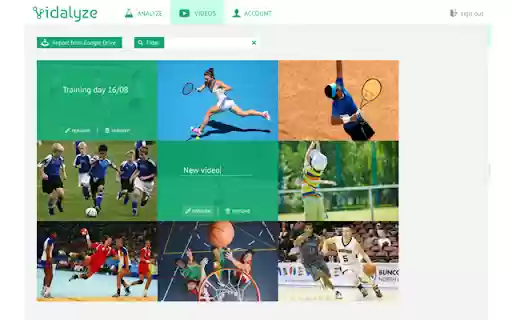 Vidalyze from Chrome web store to be run with OffiDocs Chromium online Vidalyze from Chrome web store to be run with OffiDocs Chromium online
