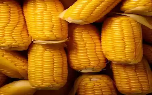Wallpaper of corn cobs from Chrome web store to be run with OffiDocs Chromium online Wallpaper of corn cobs from Chrome web store to be run with OffiDocs Chromium online