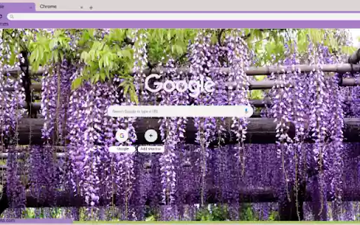 Wisteria from Chrome web store to be run with OffiDocs Chromium online Wisteria from Chrome web store to be run with OffiDocs Chromium online