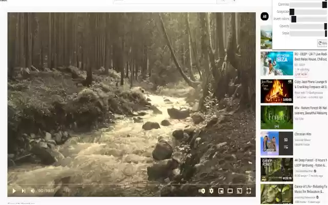 YouTube color adjust from Chrome web store to be run with OffiDocs Chromium online YouTube color adjust from Chrome web store to be run with OffiDocs Chromium online