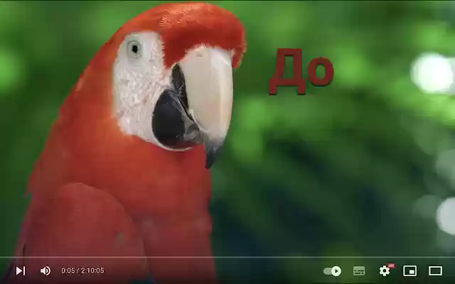 YouTubeTimer from Chrome web store to be run with OffiDocs Chromium online YouTubeTimer from Chrome web store to be run with OffiDocs Chromium online