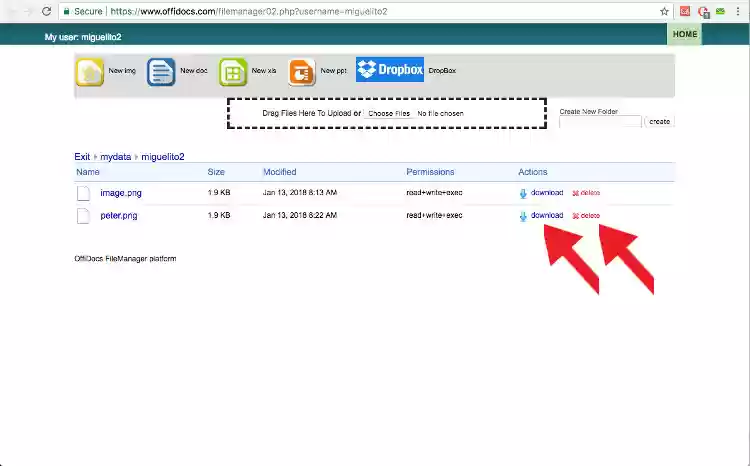 OffiDocs download or delete files from filemanager OffiDocs download or delete files from filemanager